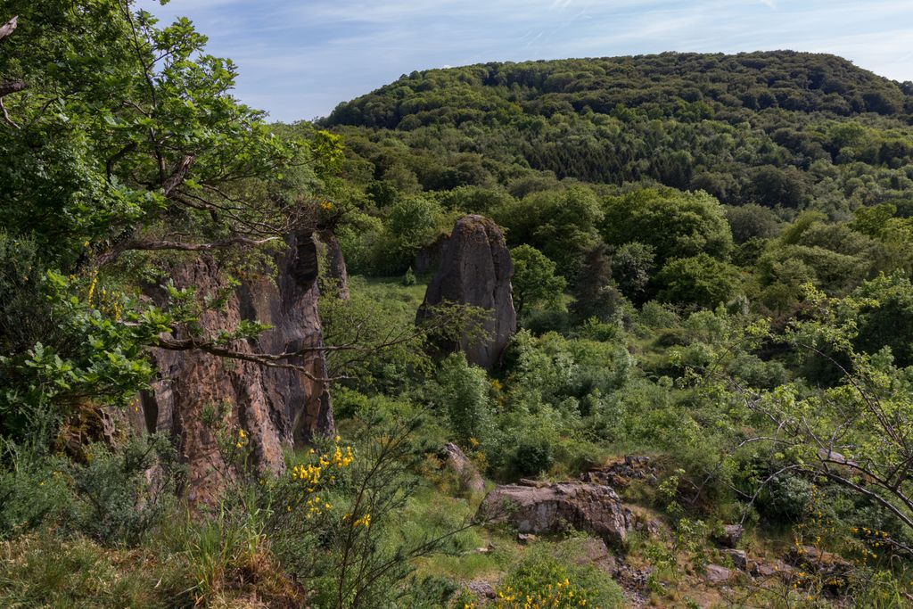 Stenzelberg