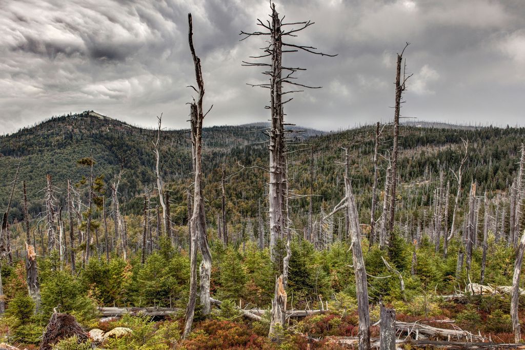 Photo №2 of Sulzriegel