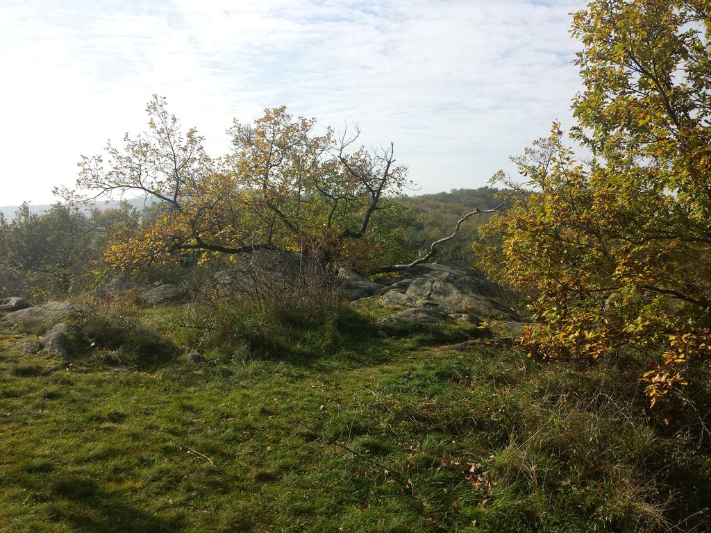 Photo №4 of Fehhaube