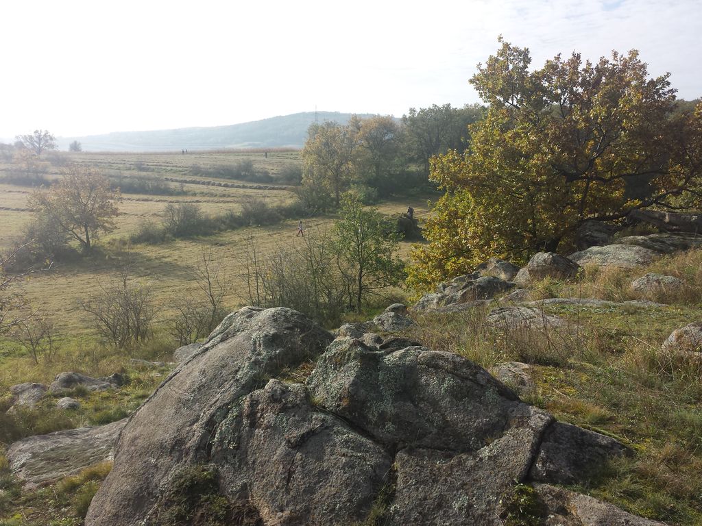 Photo №3 of Fehhaube