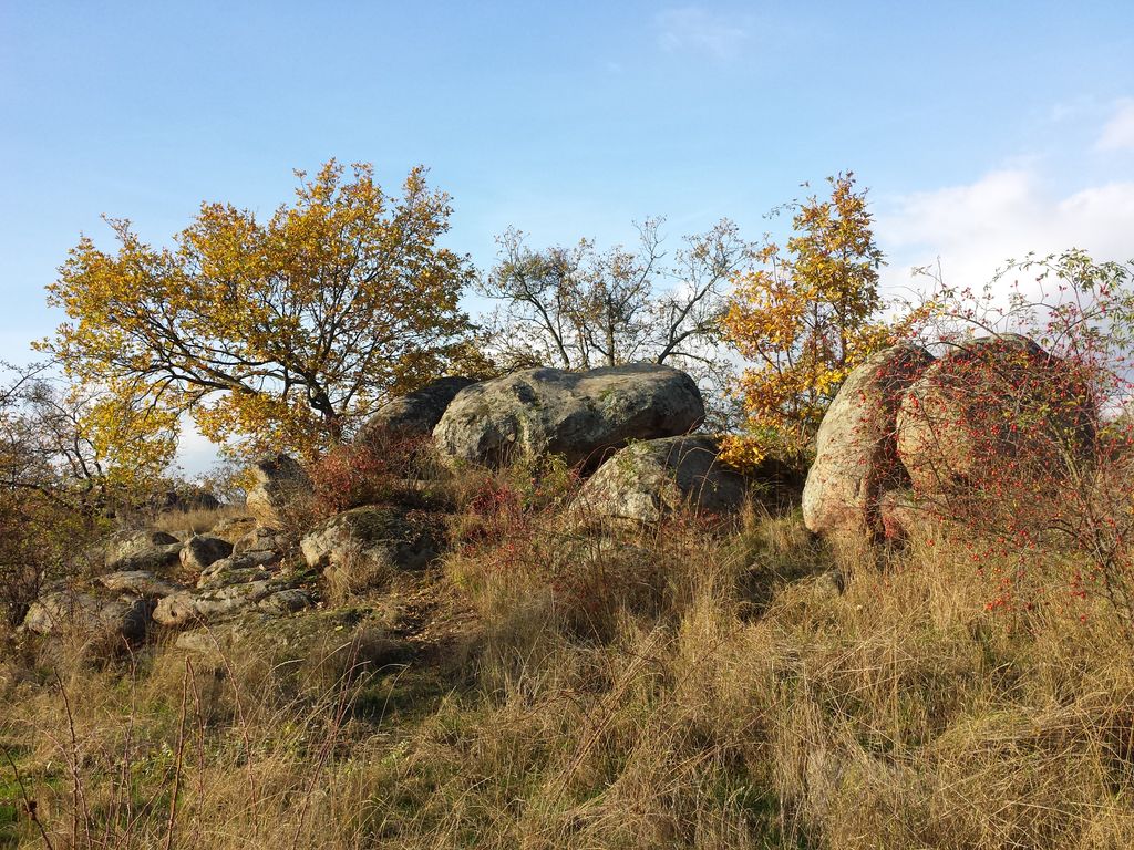 Photo №6 of Fehhaube