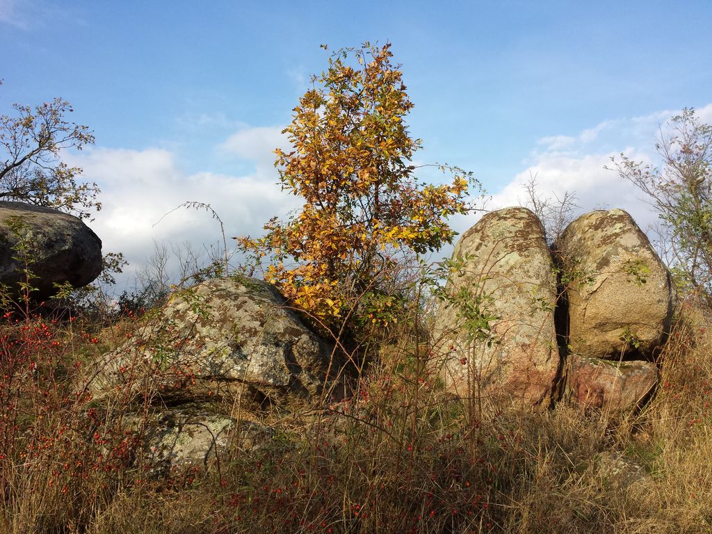 Photo №5 of Fehhaube