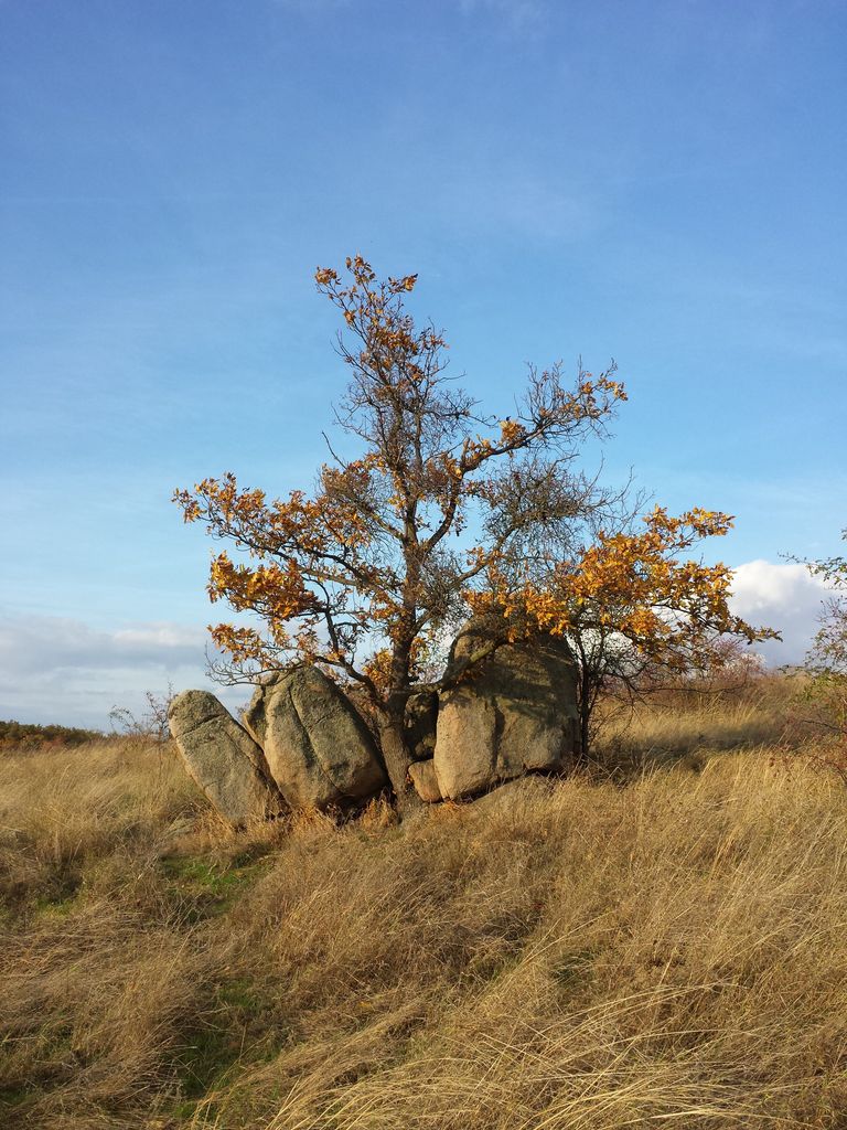 Photo №6 of Kogelsteine