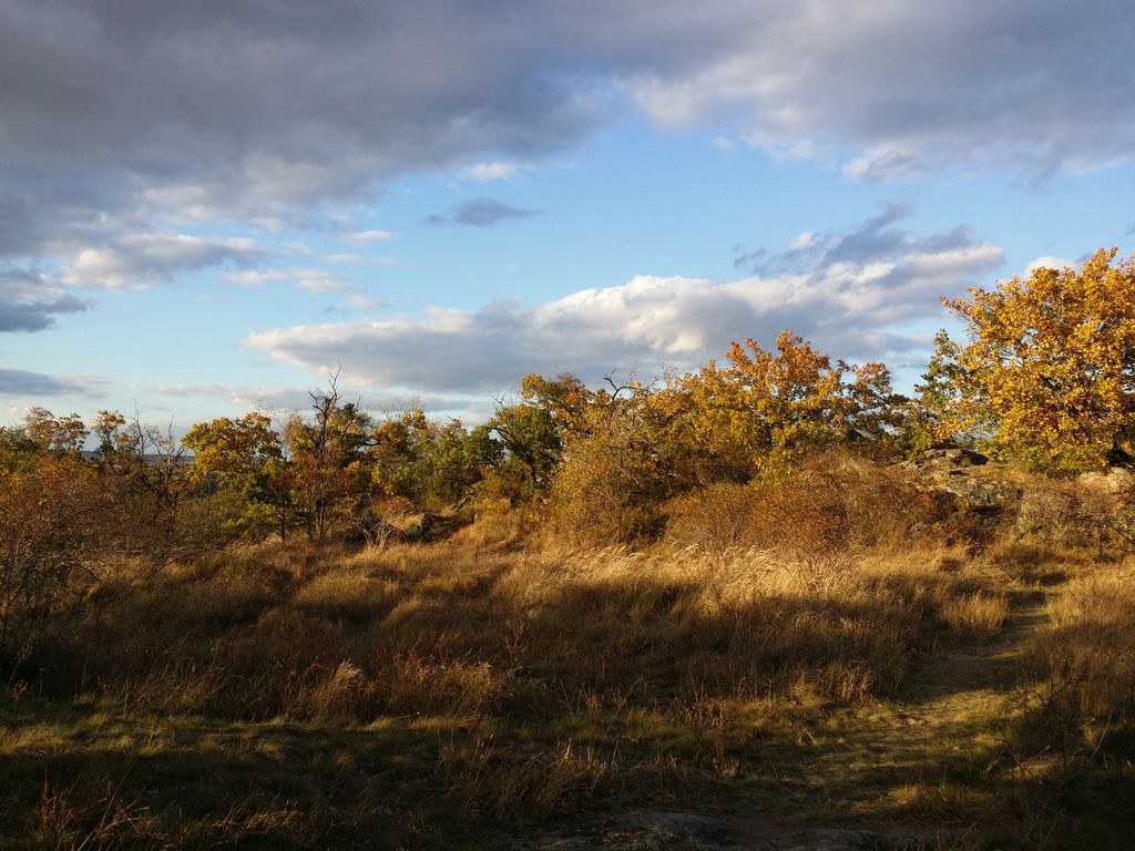 Photo №8 of Fehhaube