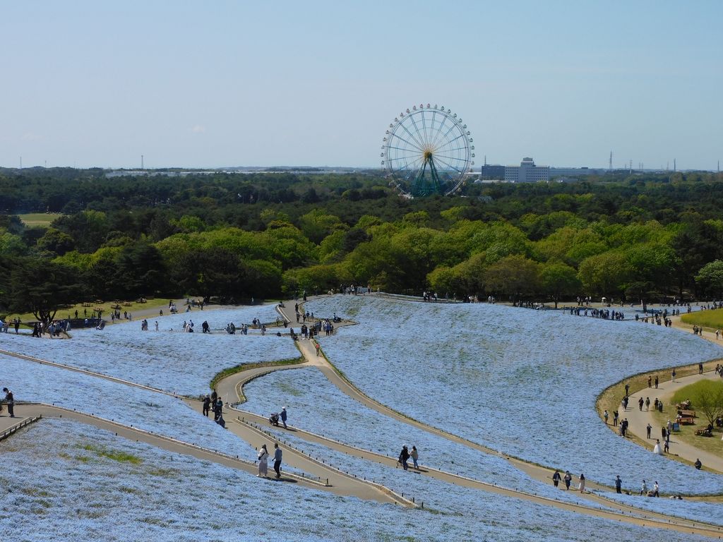 Photo №2 of Miharashi-no-oka
