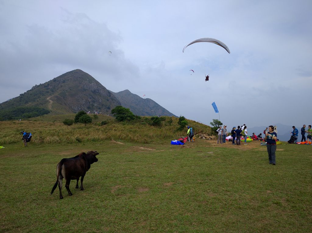 Ngong Ping Campsite