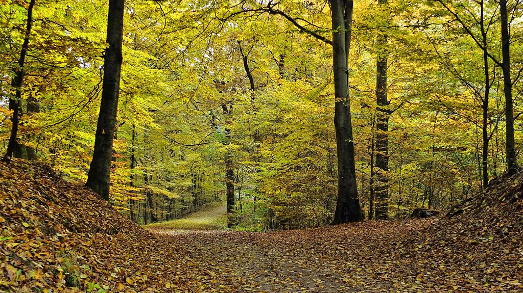 Photo №2 of Ahrberg