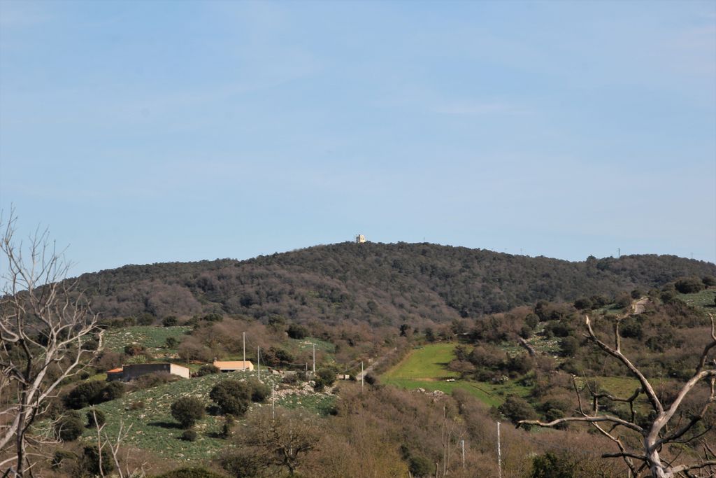 Photo №2 of Monte Pirastru