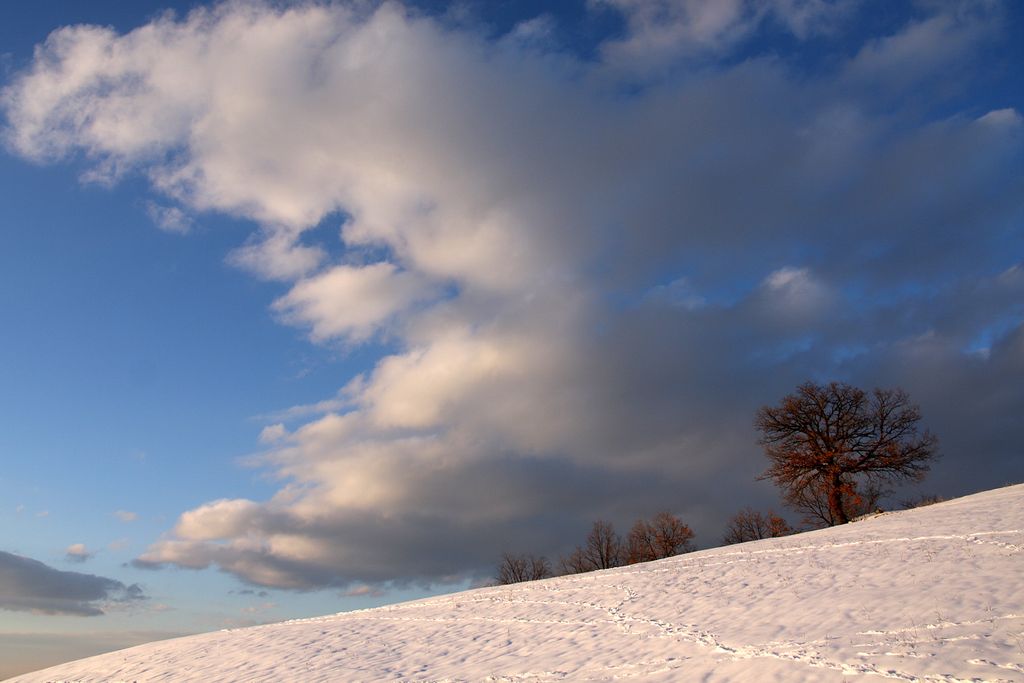 Photo №2 of Monte Santa Giulia