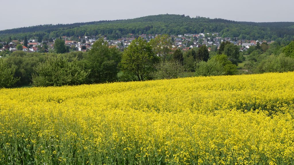 Photo №2 of Buchwaldskopf