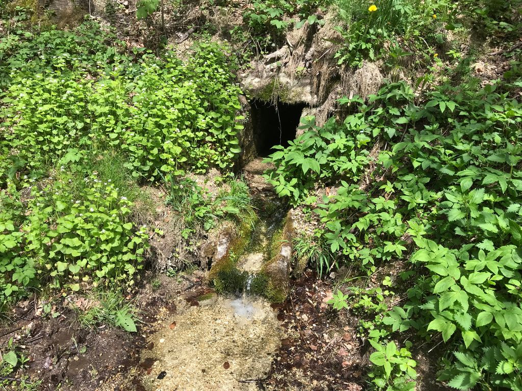 Photo №2 of Hubertusquellteich