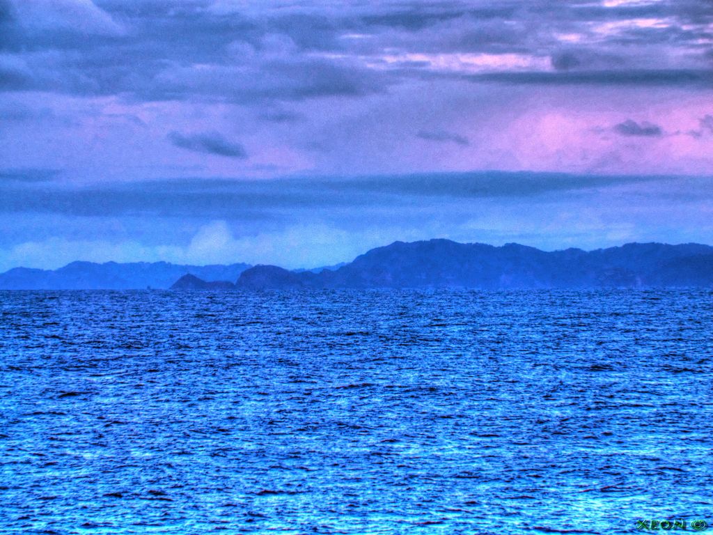 Photo №2 of Isla Guafo