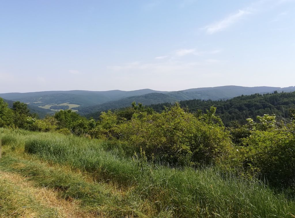 Photo №3 of Kýčera