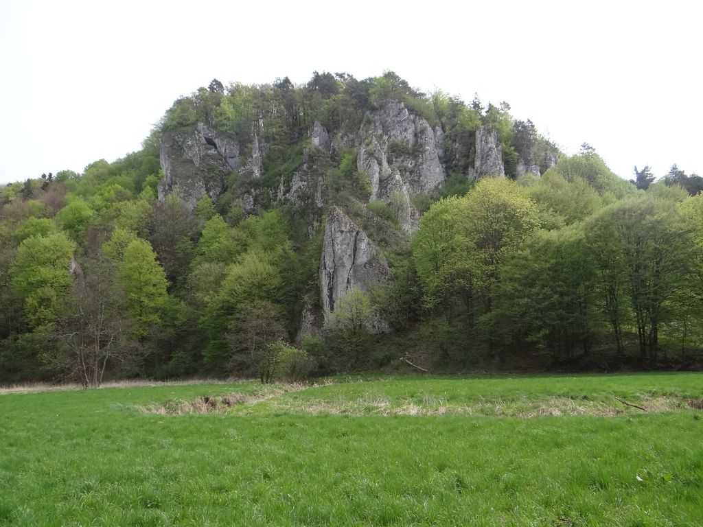 Lusikowa