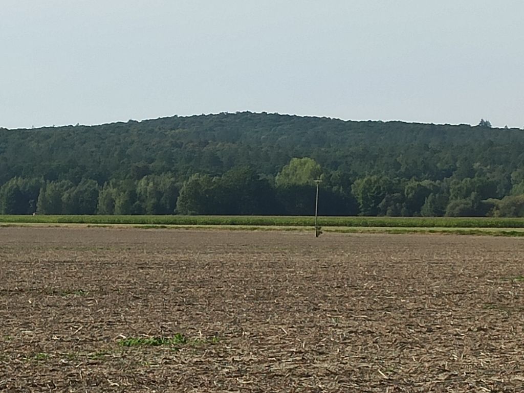 Photo №2 of Zbylut