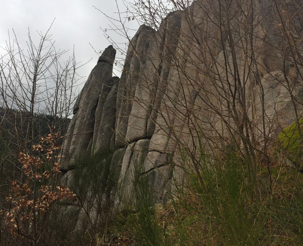 Orgelfelsen_Gernsbach_14