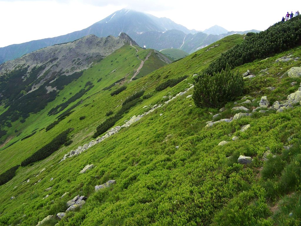 Photo №3 of Ornaczańska Przełęcz