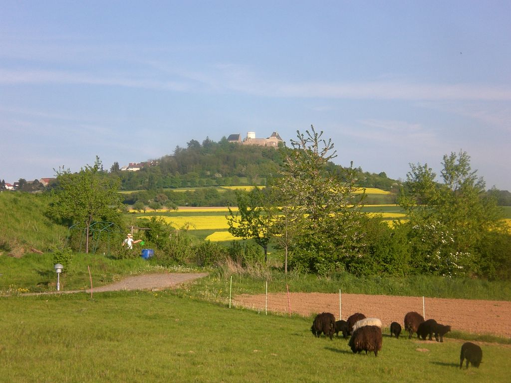 Photo №2 of Otzberg