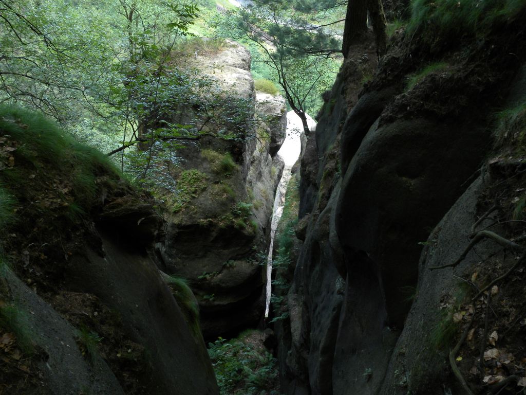 Photo №2 of Falkennest
