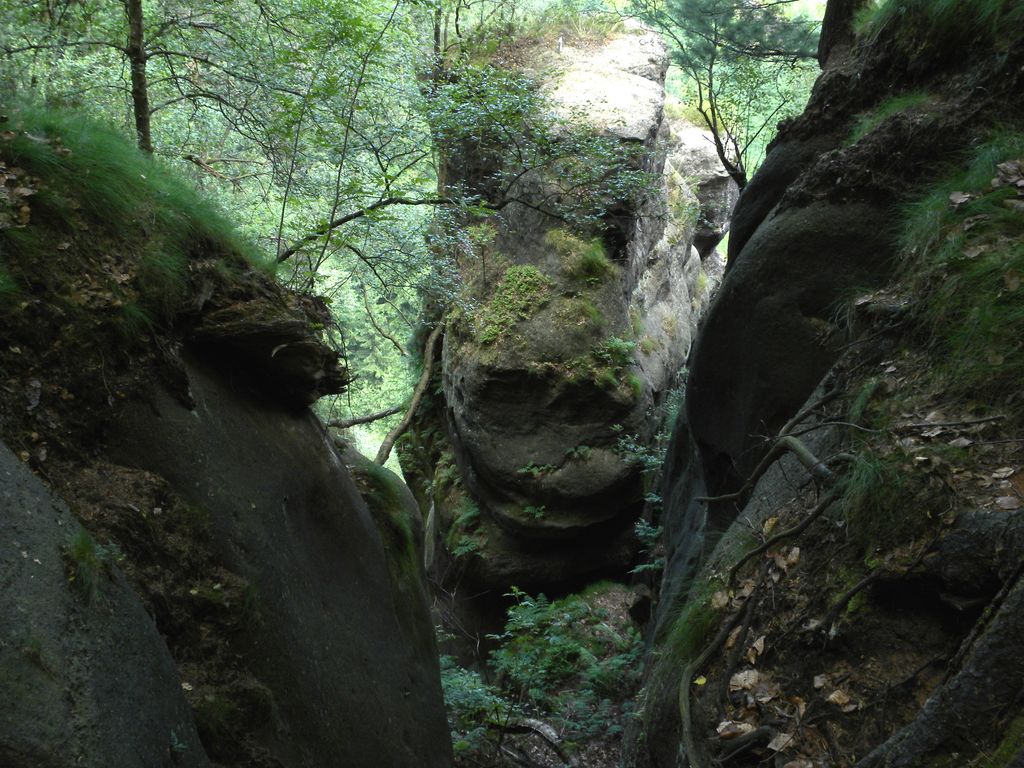 Photo №3 of Falkennest