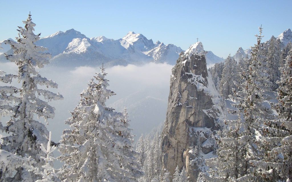 Photo №6 of Pürschling
