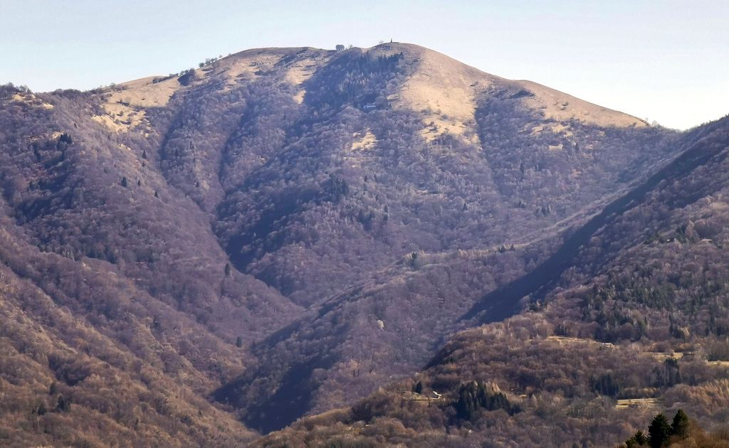 Photo №5 of Ceppo di Ghidella