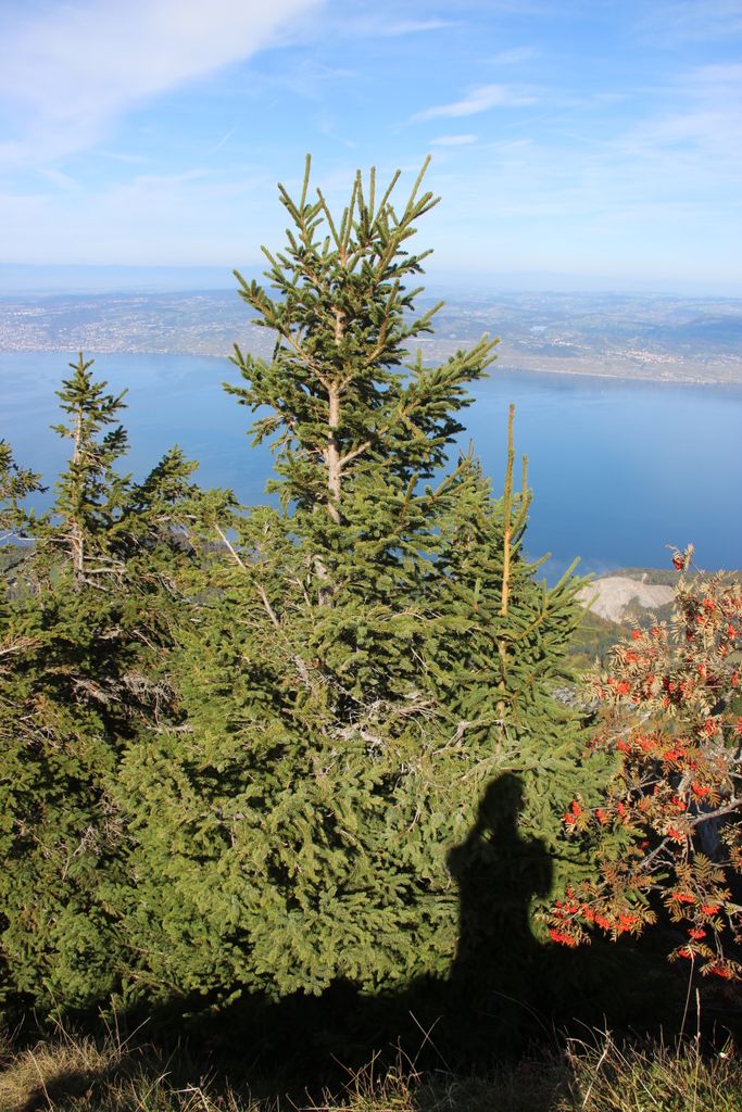 Photo №7 of Pic des Mémises