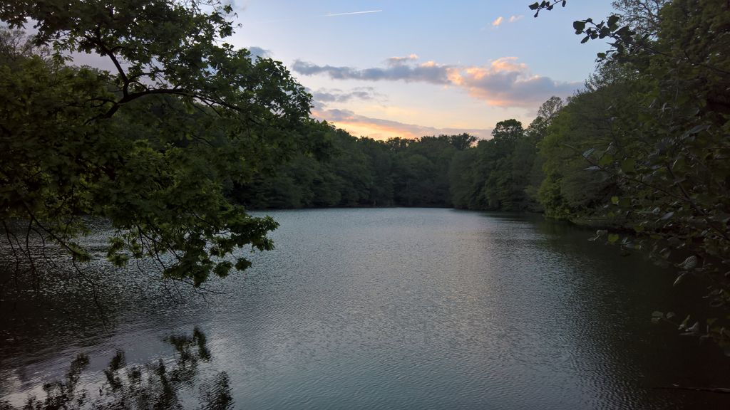 Photo №6 of Treće Maksimirsko jezero