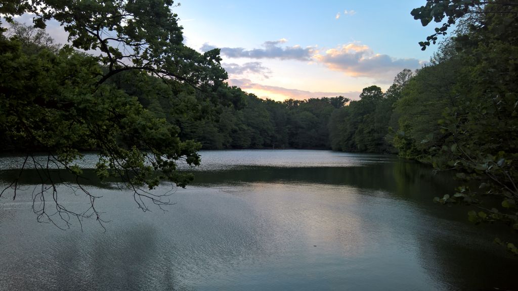 Photo №7 of Treće Maksimirsko jezero