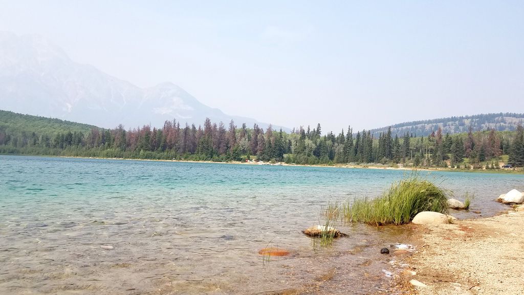 Photo №4 of Patricia Lake