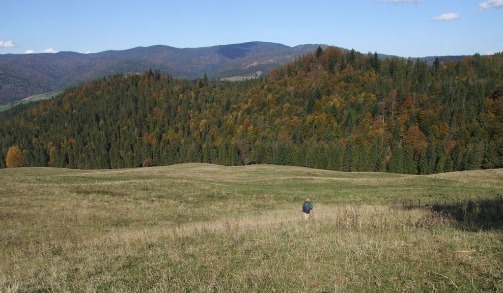 Photo №1 of Pawłowska Góra