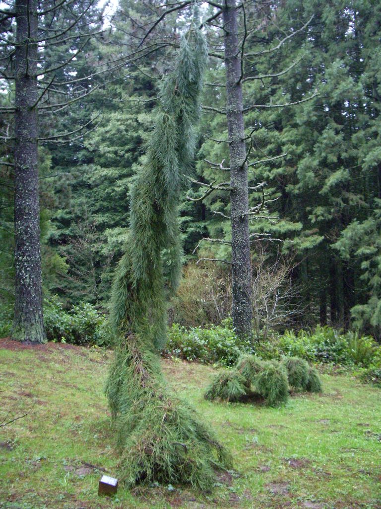 Hoyt Arboretum Visitor Center