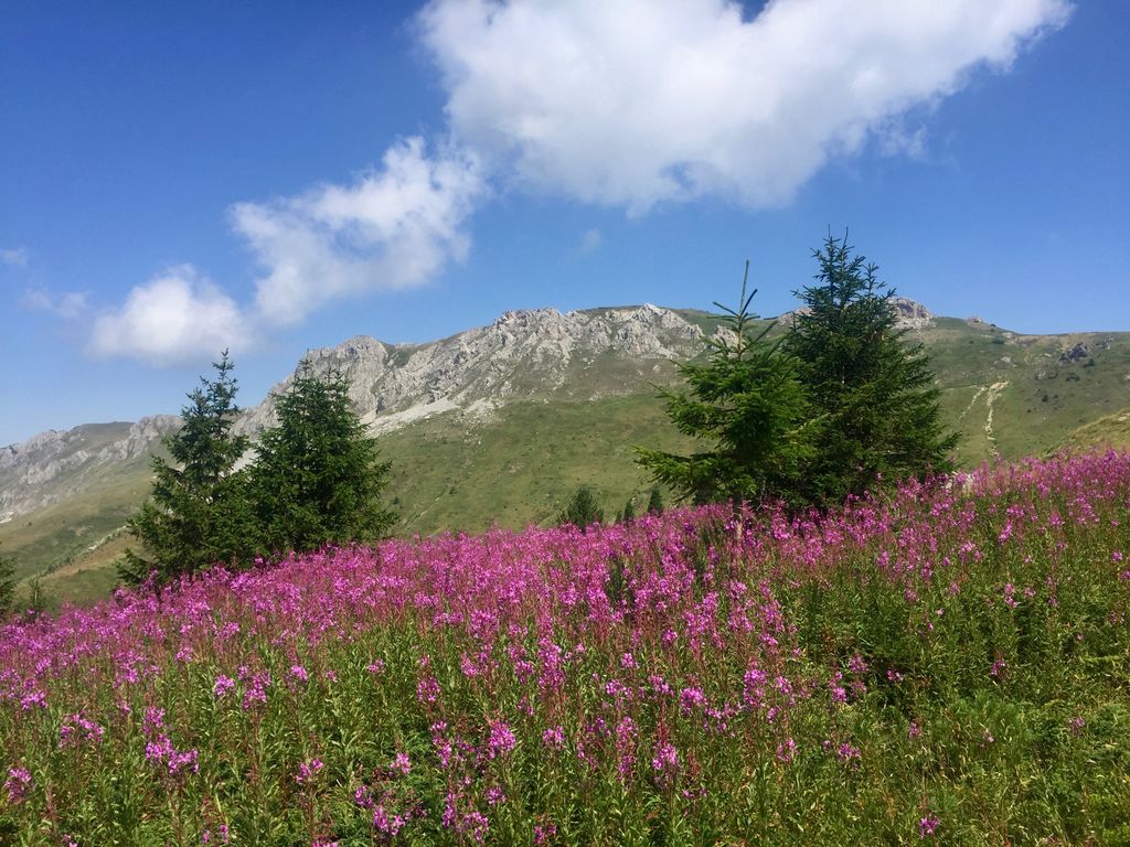 Photo №2 of Jelenka Pass