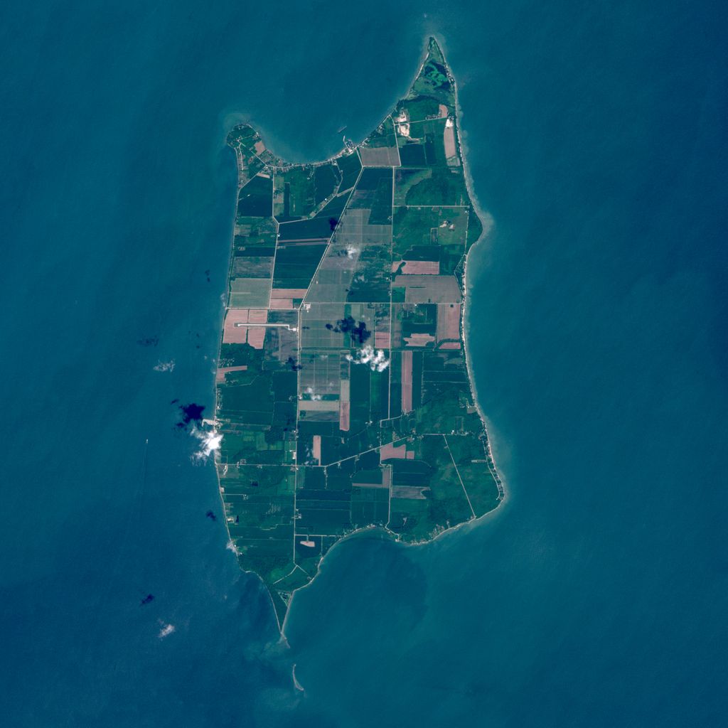 Photo №2 of Pelee Island