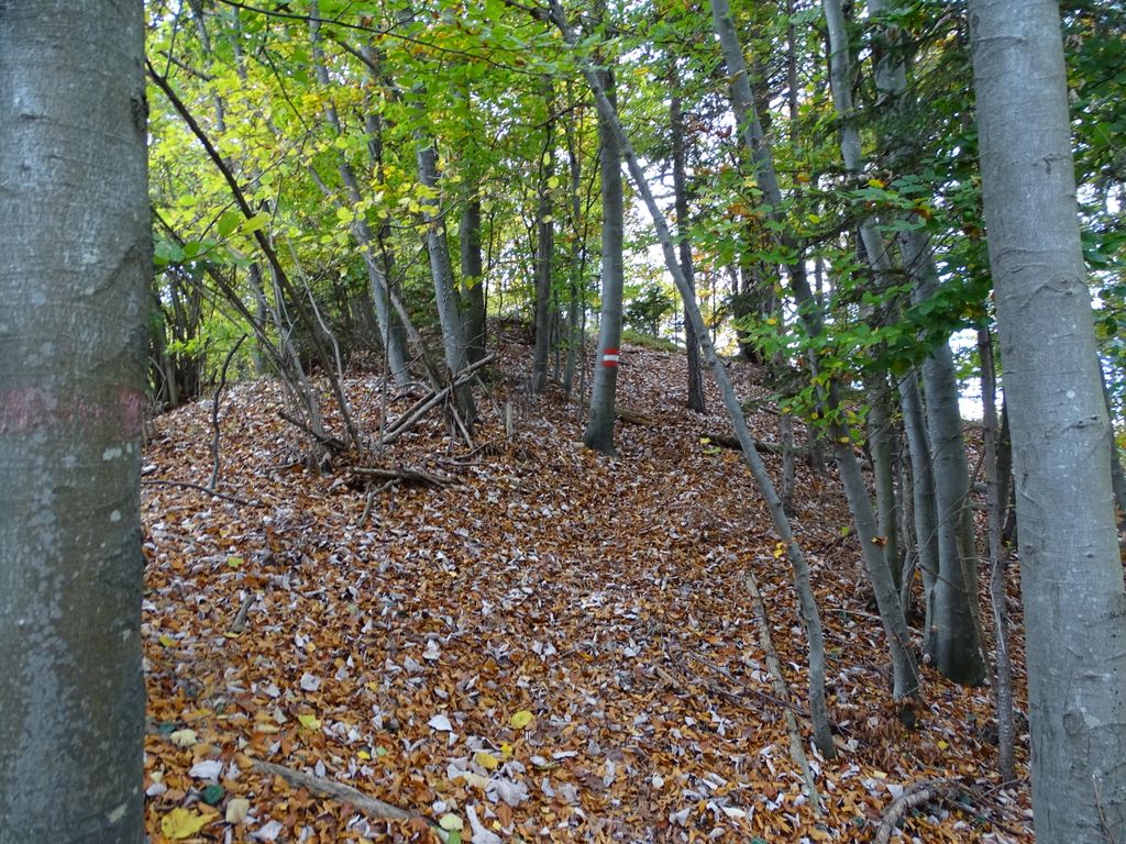 Photo №4 of Pfaffenkogel
