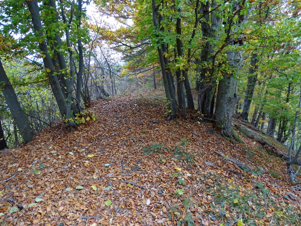 Photo №3 of Pfaffenkogel