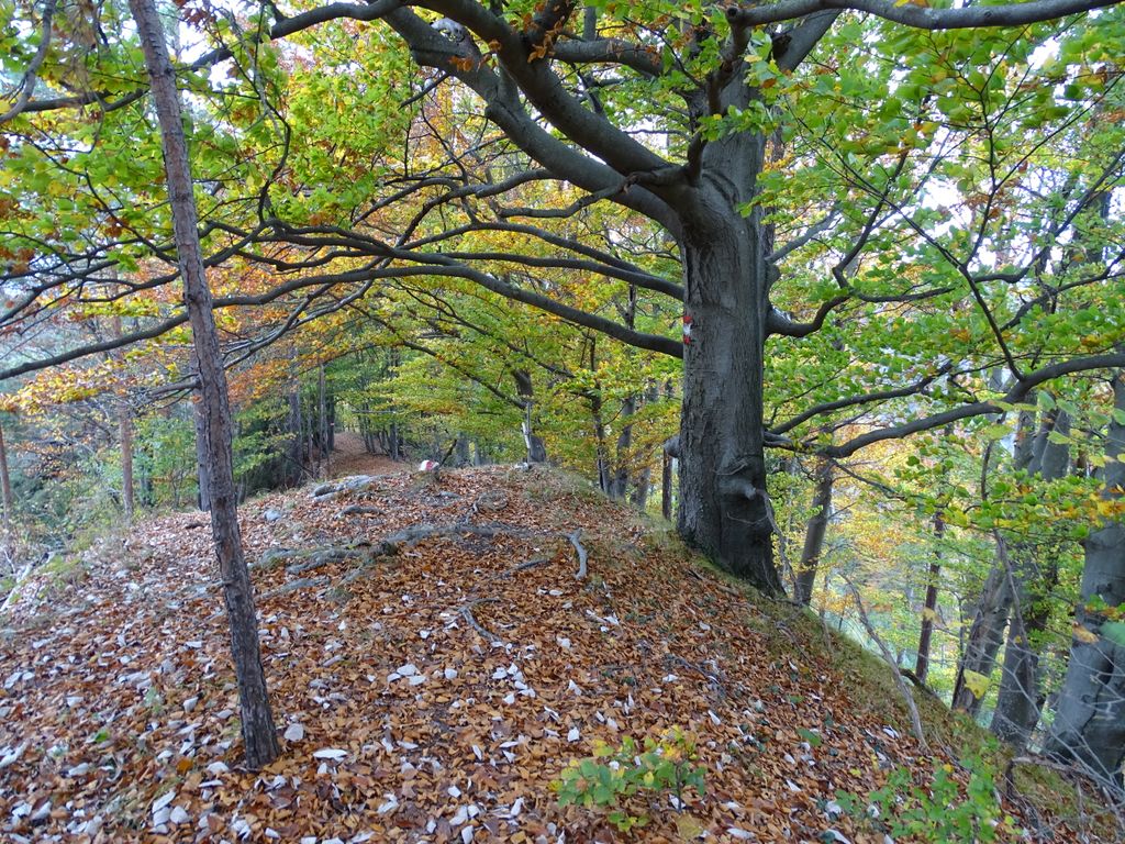 Photo №6 of Pfaffenkogel