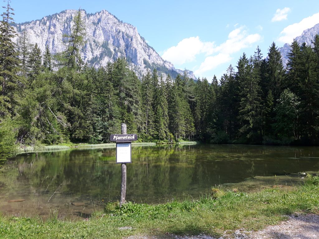 Photo №2 of Pfarrerteich