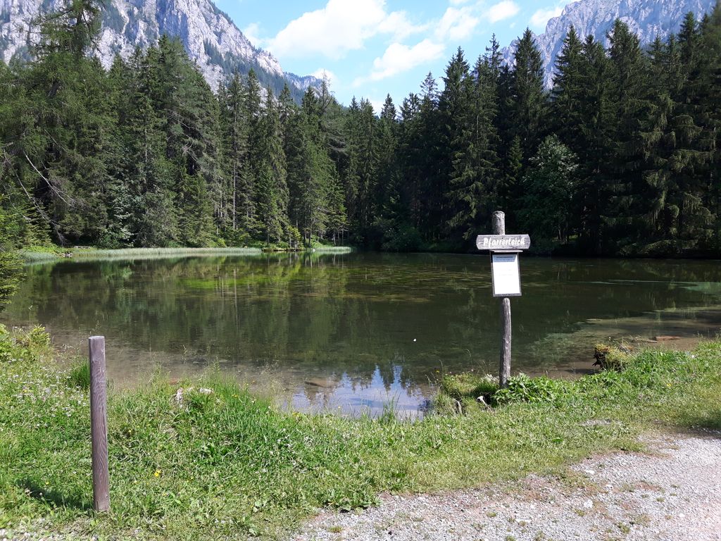 Photo №4 of Pfarrerteich