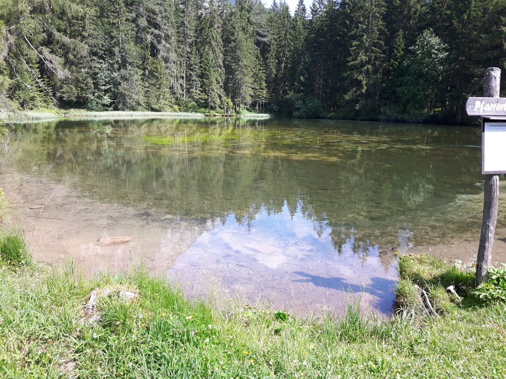 Photo №3 of Pfarrerteich