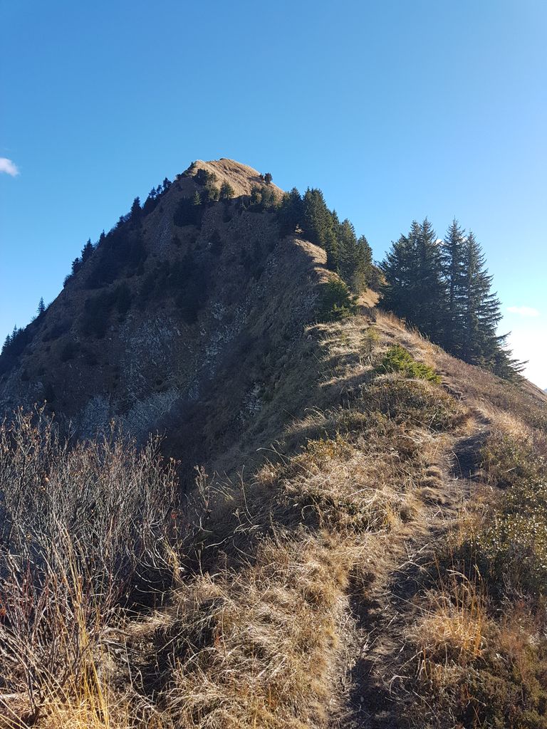 Photo №2 of Pfrondhorn