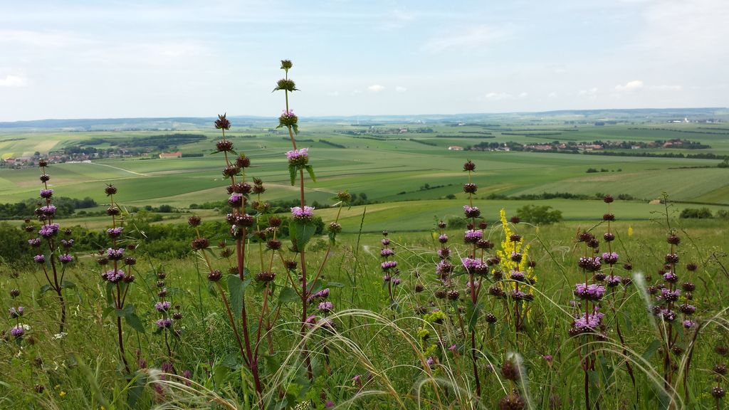 Photo №2 of Galgenberg