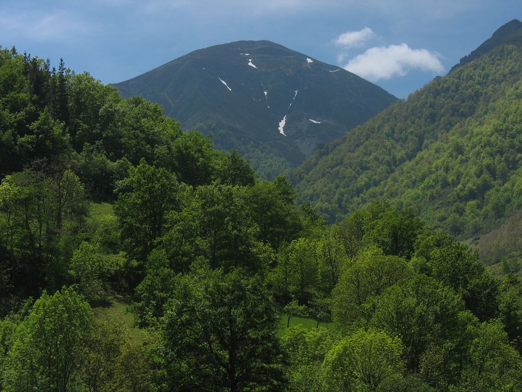 Photo №1 of Pico de La Zamurria