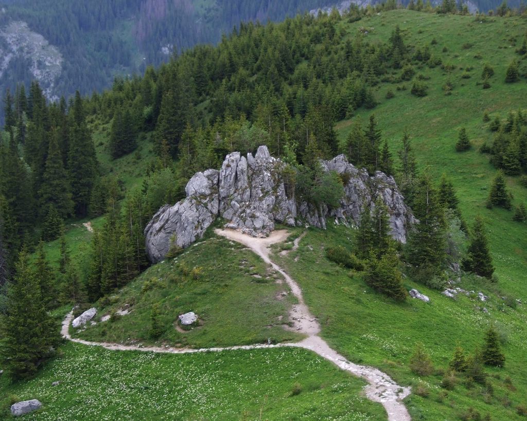 Photo №3 of Piec