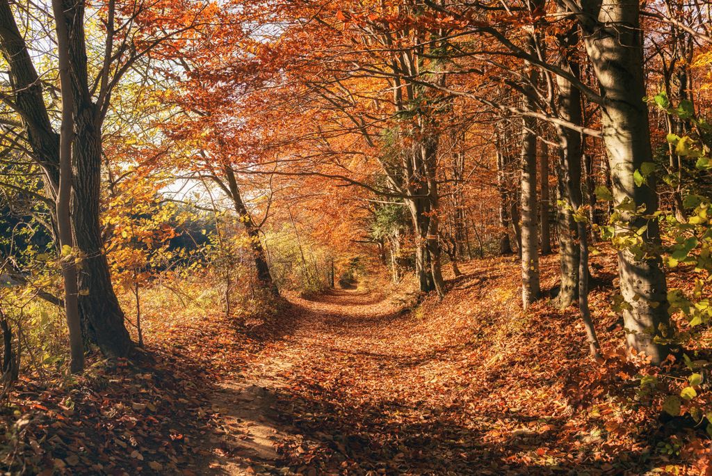 Photo №2 of Niżnia Okrąglica