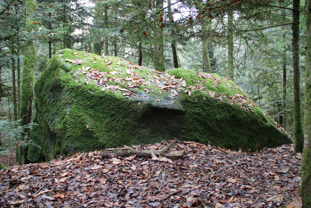 Photo №2 of Pierre du Neyret