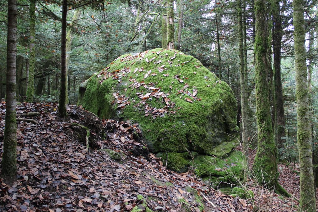 Photo №5 of Pierre du Neyret