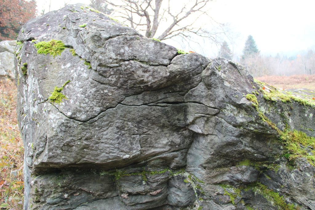 Photo №2 of Pierre du Paray