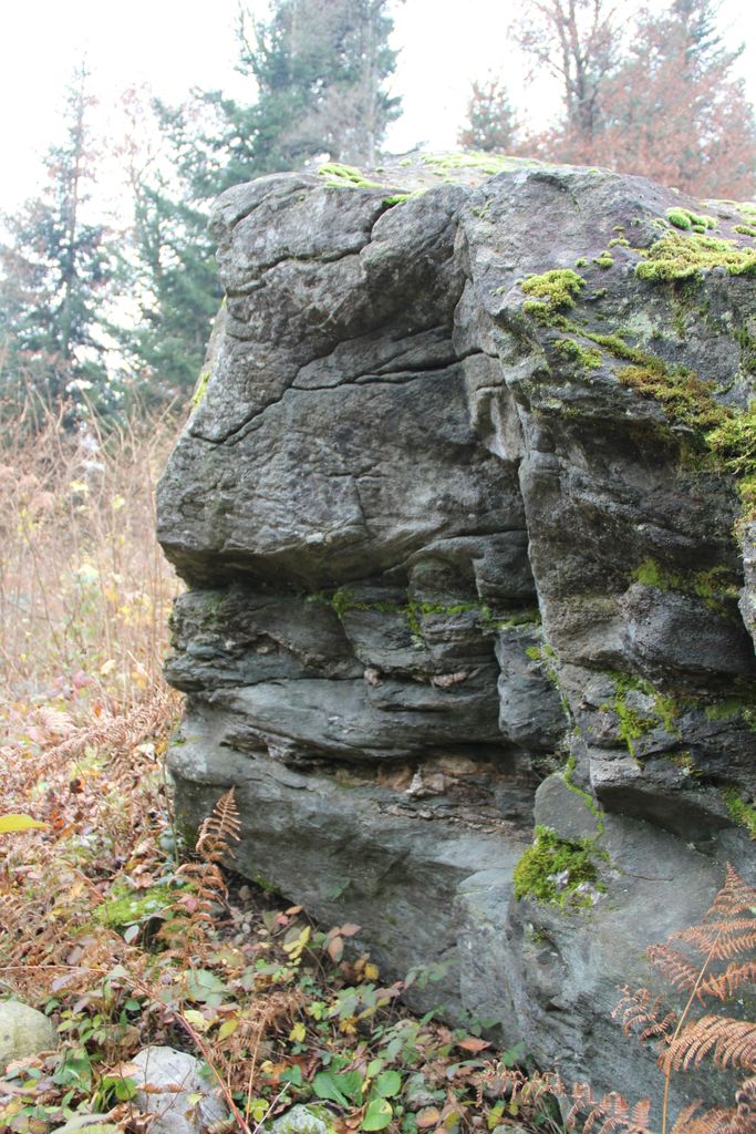 Photo №4 of Pierre du Paray