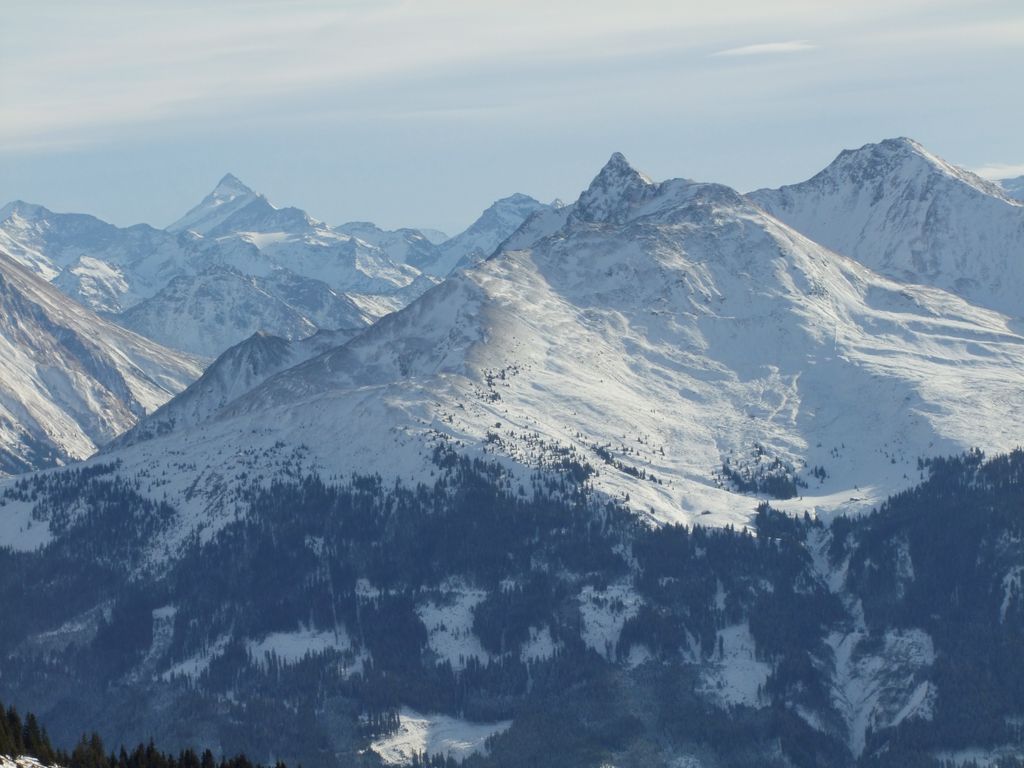 Photo №1 of Pihapper